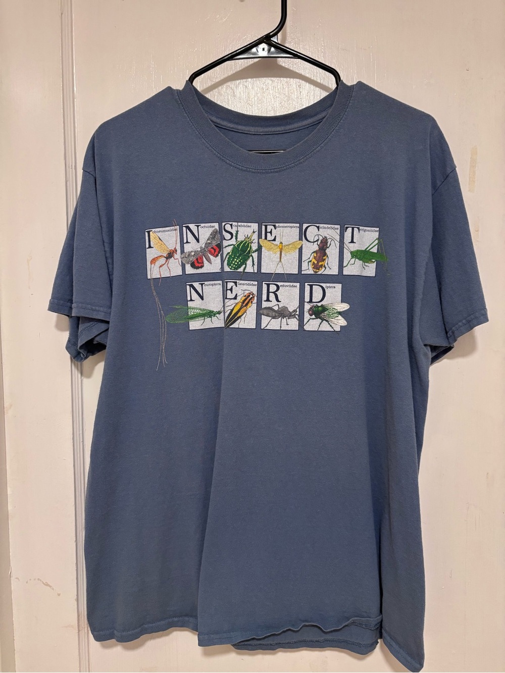 Men's 'Insect Nerd' Graphic Tee - Slate Blue